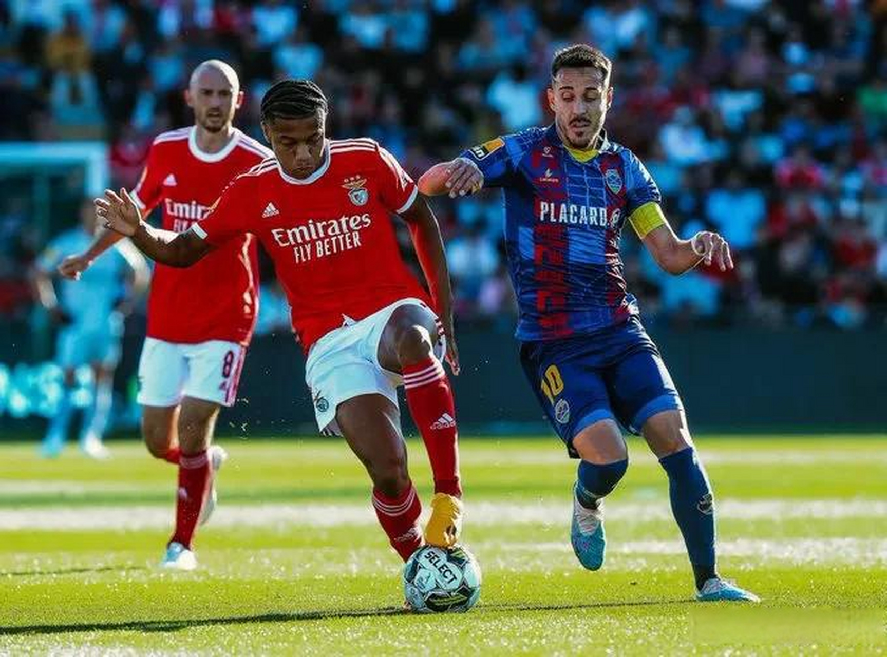 赛地聚焦——葡超加时末段热度飙升，浙江队强势反弹，悬念犹存，训练强度明显提升的简单介绍