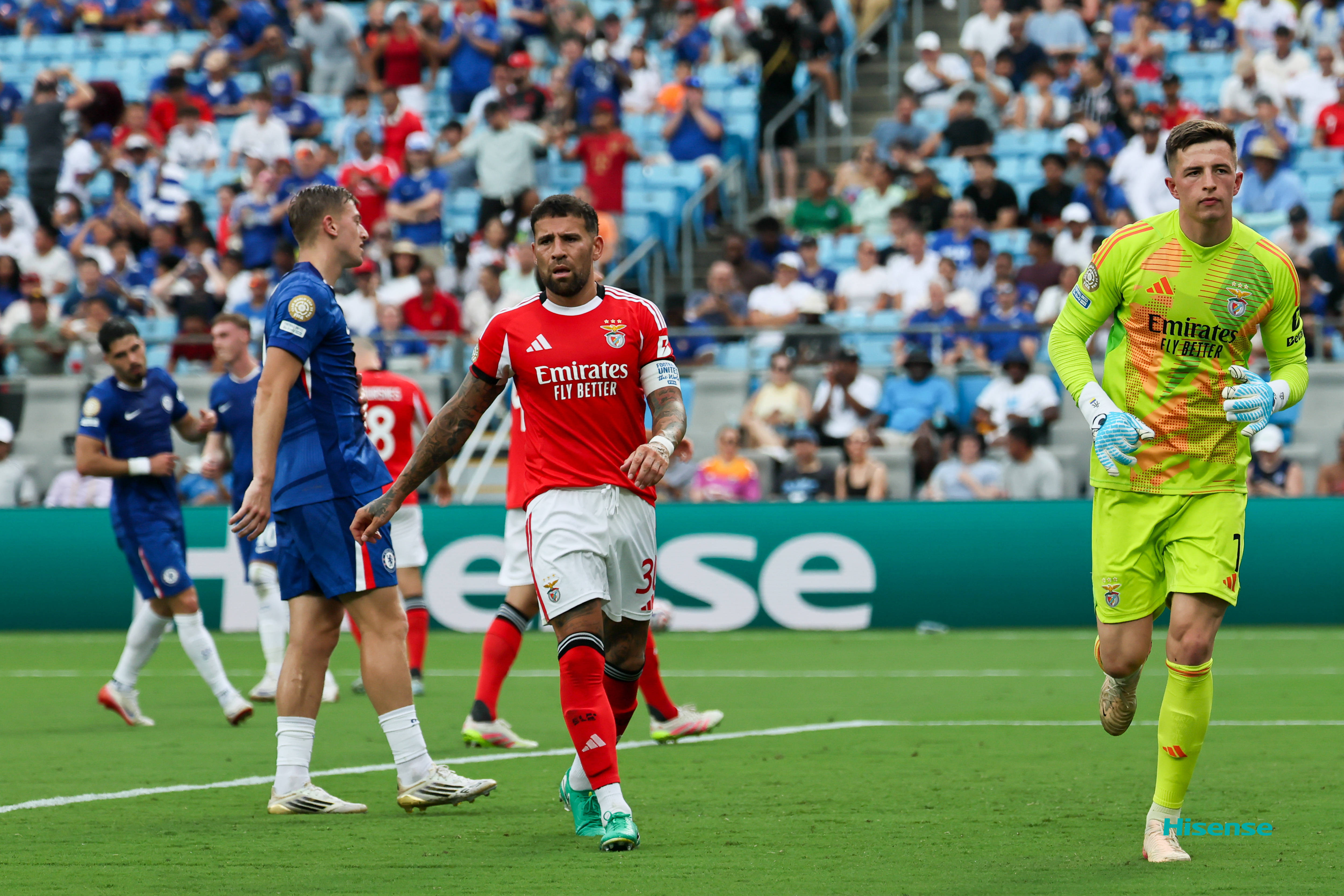 本菲卡最新消息最新